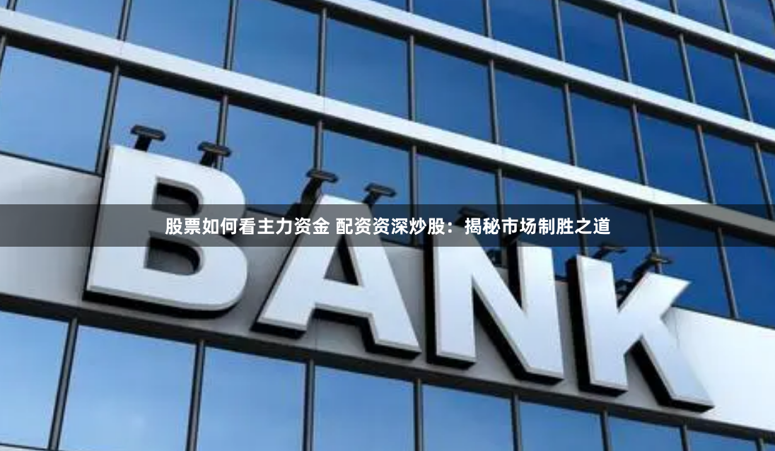 股票如何看主力资金 配资资深炒股：揭秘市场制胜之道