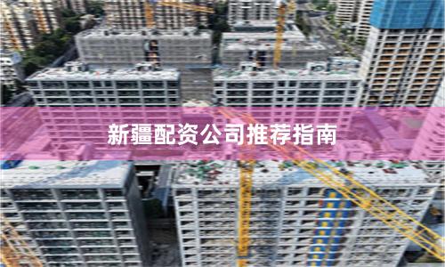 新疆配资公司推荐指南